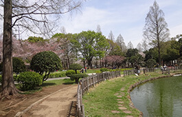 シェアハウス近くの公園